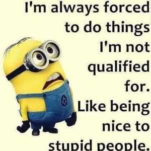 Meet your Posher, Lynn